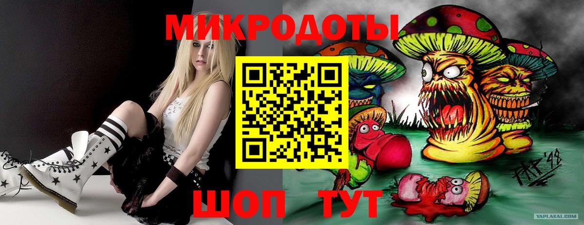 Тара  Галлюциногенные грибы MAGIC MUSHROOMS  Вход с VPN 